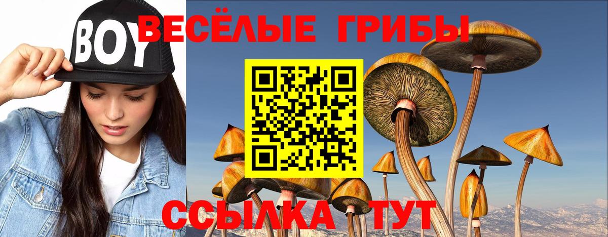 Псилоцибиновые грибы мухоморы Серпухов